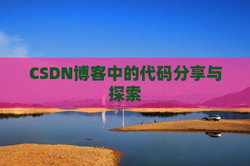 CSDN博客中的代码分享与探索
